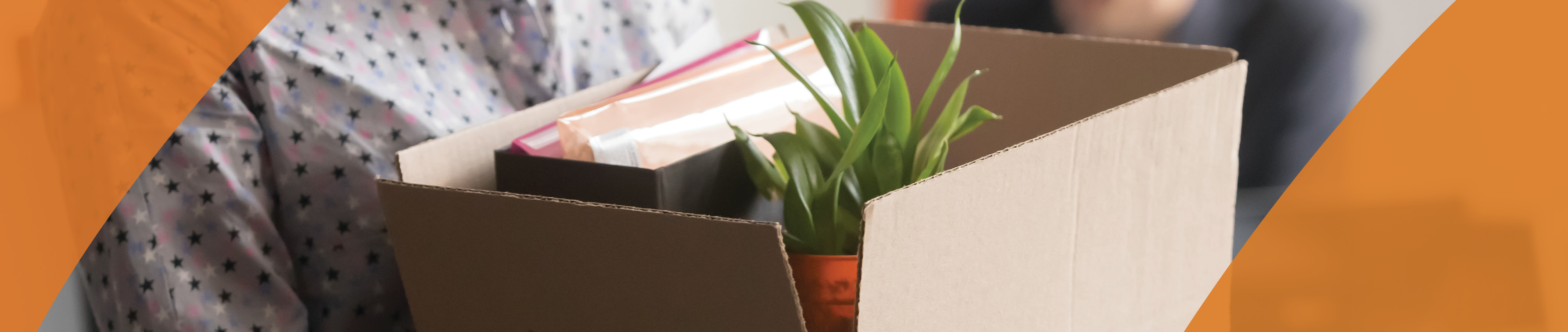 AGS_CM2021_Q2_Header_Article8